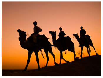 Rajasthan Tour Package